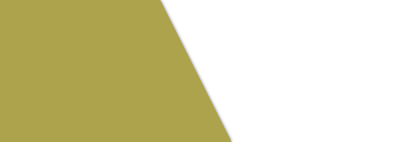Makeup Services
